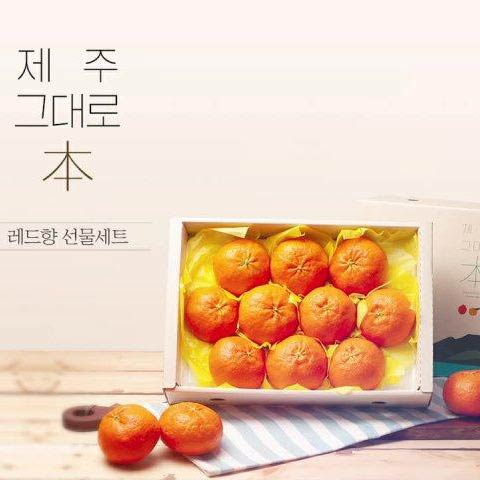 [설 선물세트] 제주 서귀포 레드향 3kg 9-13과 내외 선물용 박스포장 | Korean Premium Jeju Red Hyang