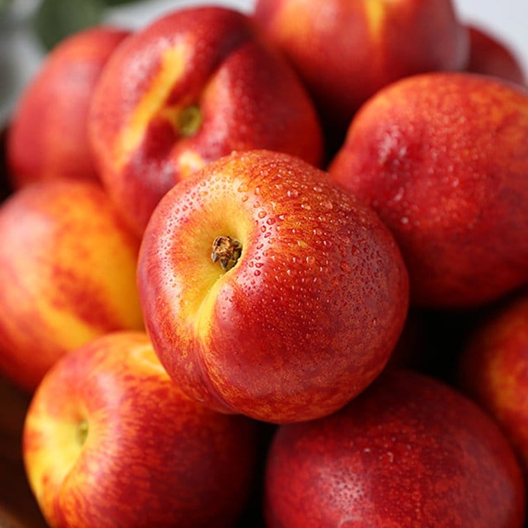 [🗓️예약발송 7월11일] 천도 신선 복숭아 로얄과 2kg 내외 | PER-ORDER Korean Fresh Nectarine heavenly peach