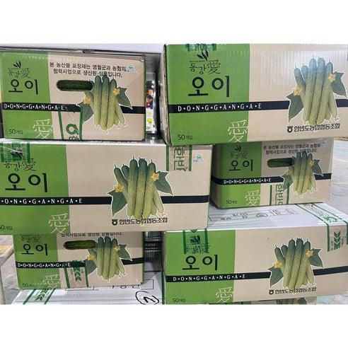 [🗓️예약발송 03월20일 🚚B2B 벌크] 백오이 백다다기 오이 10kg 50입 내외 | Korean White Cucumber