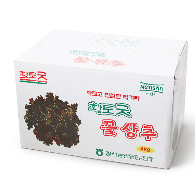 [🗓️예약발송 10월30일 🚚B2B 벌크] 꽃 상추 4kg | Korean Red Lettuce