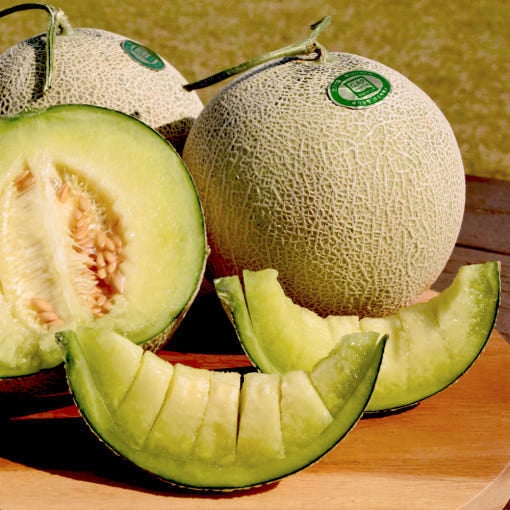 [🗓️예약발송 05월22일] 프리미엄 세지 황토 머스크 멜론 1.5-2kg 내외 2ea | Premium Korean Fresh Honey Musk Melon