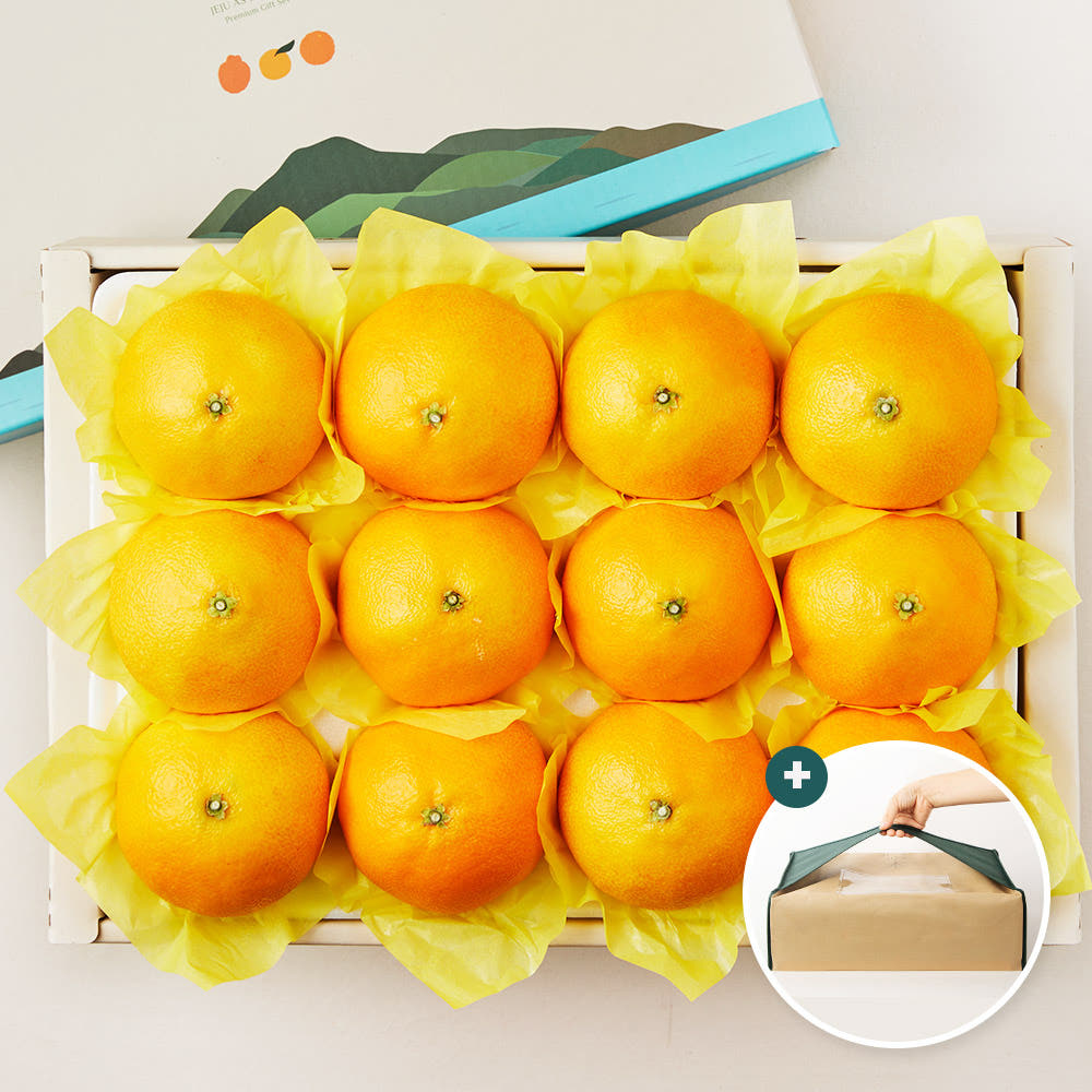 [🎁추석 선물세트] 제주 서귀포 한라봉과 천혜향의 만남 황금향 중대과 3kg | Jeju Premium Tangerine