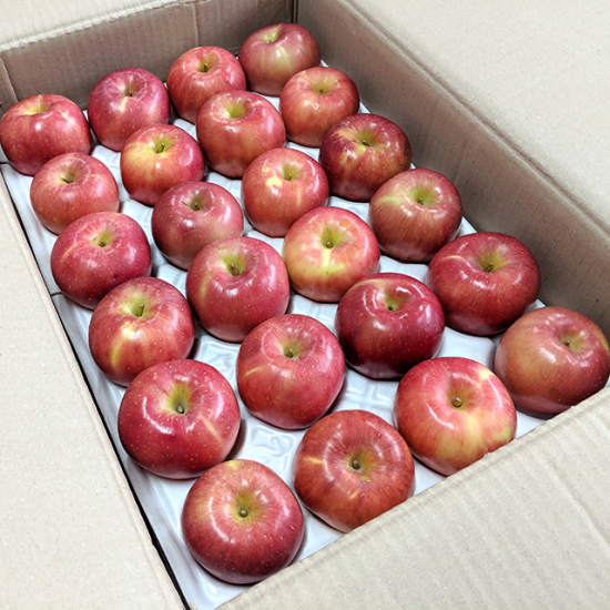 [🗓️예약발송 11월06일 🚚B2B 벌크] 햇 사과 부사 홍로 10kg 35입 내외 | Korean Premium Apples