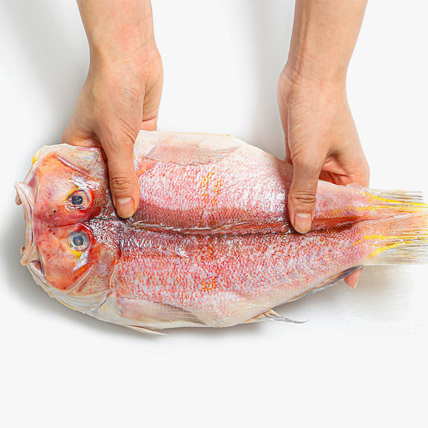 [설 선물세트] 제주 옥돔 고등어 프리미엄 선물세트 6미 | Jeju Okdom & Mackerel Premium Gift Set