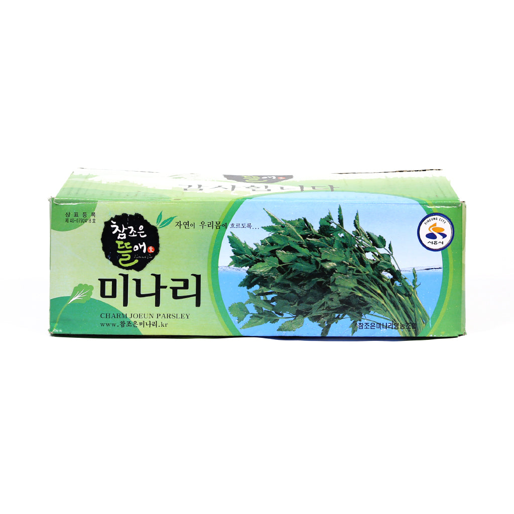 [🗓️예약발송 03월20일 🚚B2B 벌크] 1/2박스 청도한재 미나리 2kg | Korean Water Parsley