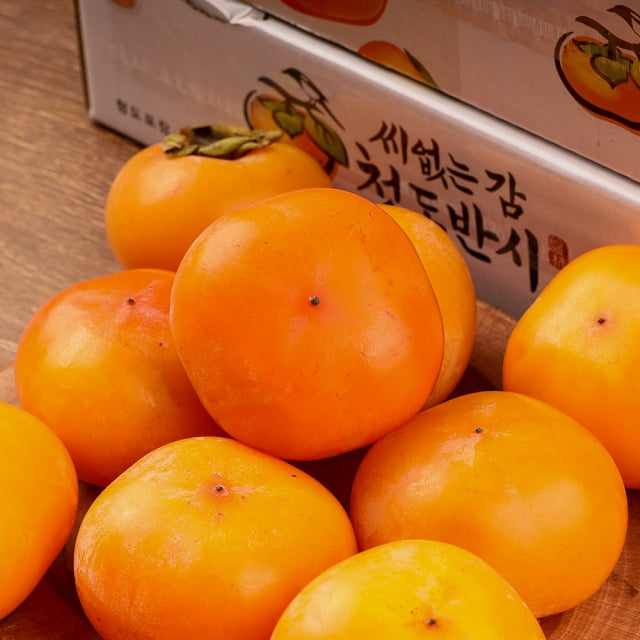 [🗓️예약발송 10월24일] 청도 씨없는 반시 대과 후숙전 10과 내외 1.5kg 내외 | Cheongdo Persimmon