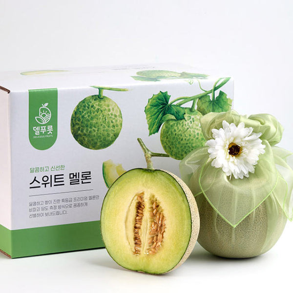 [🗓️예약발송 05월22일] 프리미엄 세지 황토 머스크 멜론 1.5-2kg 내외 2ea | Premium Korean Fresh Honey Musk Melon