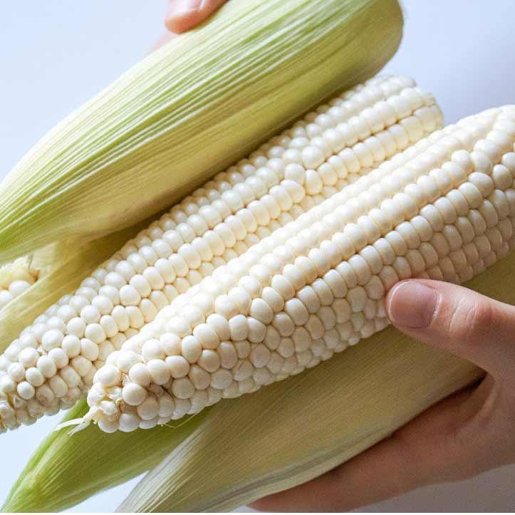 [🗓️예약발송 08월07일] 항공직송 강원도 정선 햇 찰 옥수수 9-10입 내외 | Fresh Glutinous Corn from Gangwon Korean