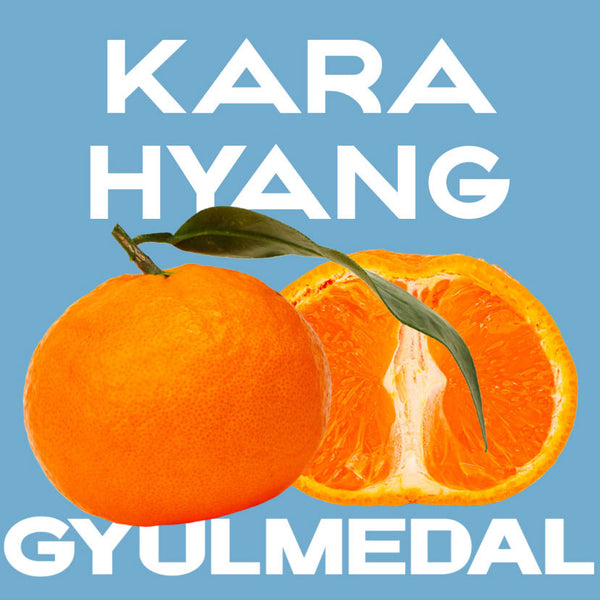 [항공직송] 제주 카라향 400일간의 기다림 3kg 내외 (선물용) | Jeju Premium Tangerine KARAHYANG Gift Set