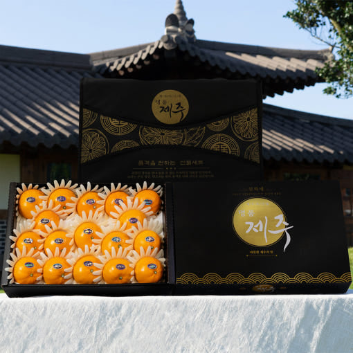 [🗓️예약발송 05월22일] 프리미엄 제주 명품 천혜향 선물세트 3kg 특품 | Premium Jeju Fresh Citrus (Cheonhyehyang)