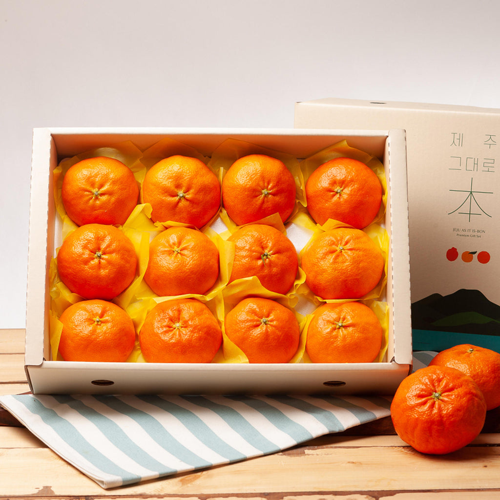[설 선물세트] 제주 서귀포 레드향 3kg 9-13과 내외 선물용 박스포장 | Korean Premium Jeju Red Hyang