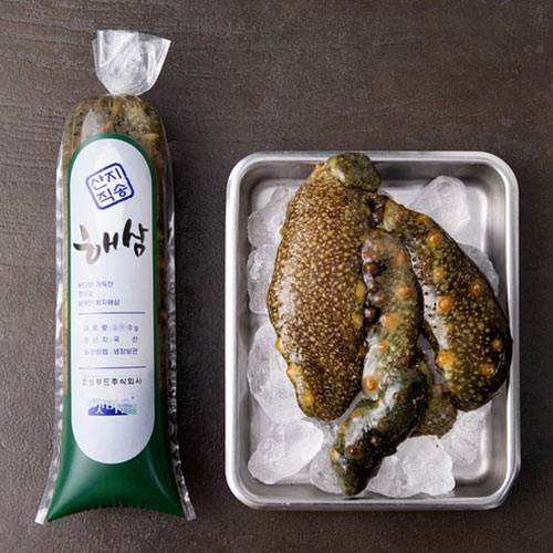 [🗓️예약발송 05월15일] 산지직송 해삼 바다의 인삼 310g | Fresh Sea Cucumber