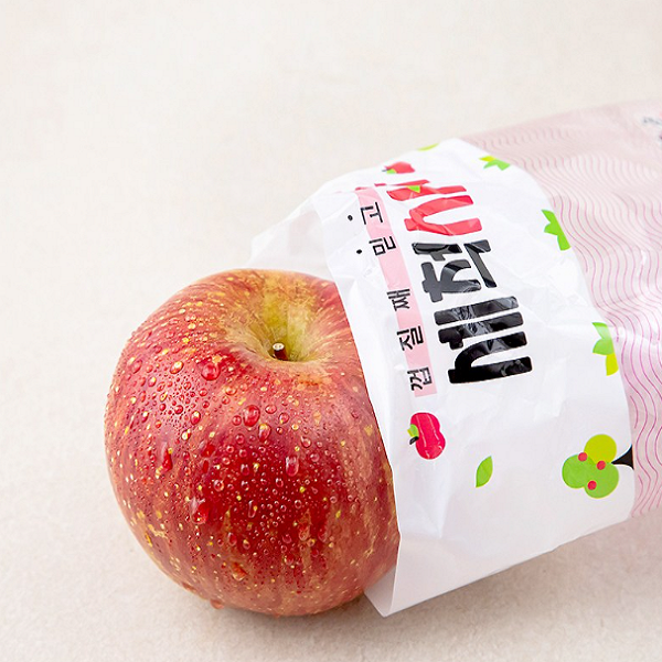 [항공직송] 국내산 당도선별 안동 세척사과 2kg | Korean Washed Apple