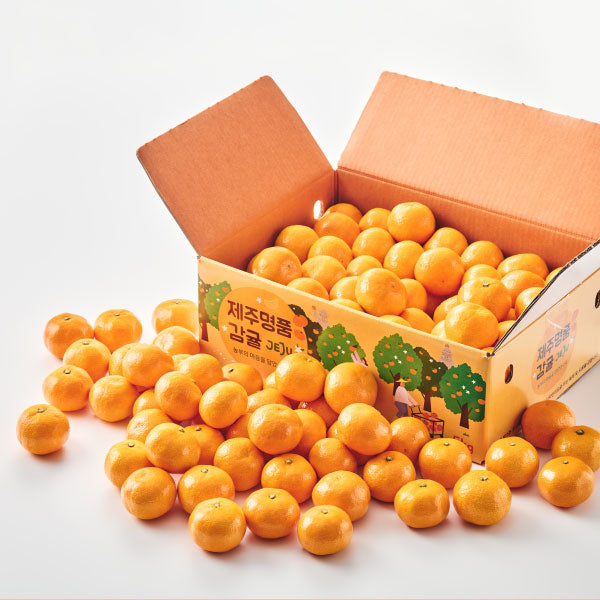[항공직송] 올레길 당도선별 제주 감귤 로열과 귤 5kg 박스 | Korean Jeju Mandarin Orange