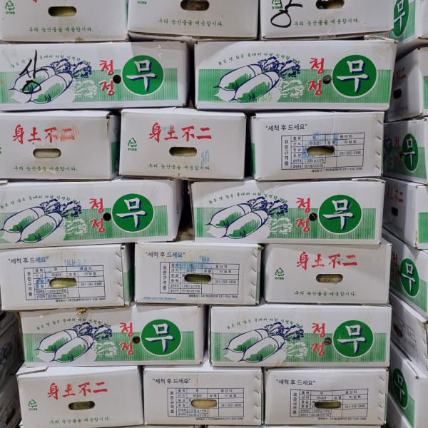[🗓️예약발송 09월18일 🚚B2B 벌크] 싱싱하고 단단한 무 무우 20kg 12입 내외 | Korean Radish