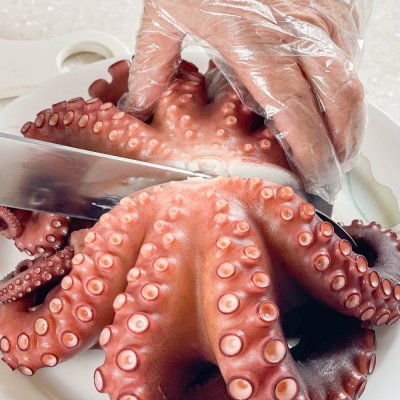 동해 자연산 피문어 참문어 통 한마리 자숙찜 800g 내외 | Boiled Octopus