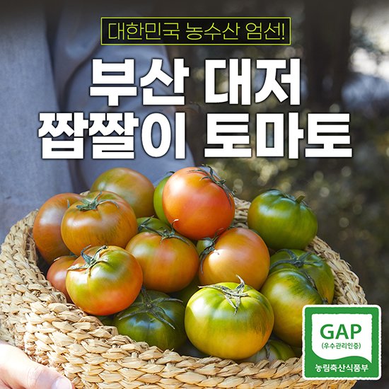 [항공직송] 대저 짭잘이 짭짤이 토마토 2.5kg 박스 | Korean Tomato