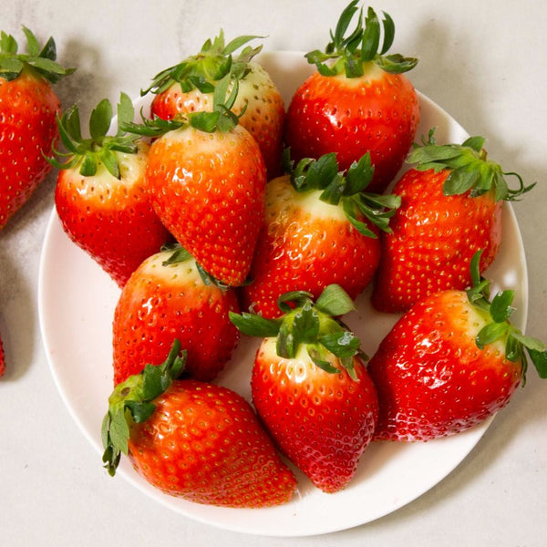 [항공직송] GAP 생딸기 킹스베리 설향 딸기 800g | Korean Premium Strawberries - sarangmartsg