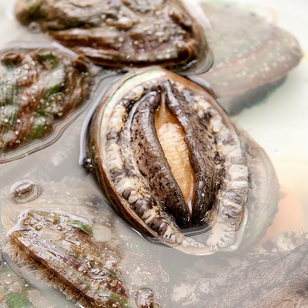 건강한 전복 손질한 깐깐전복 중 300g(10미) | Korean Wando Frozen Abalone - sarangmartsg